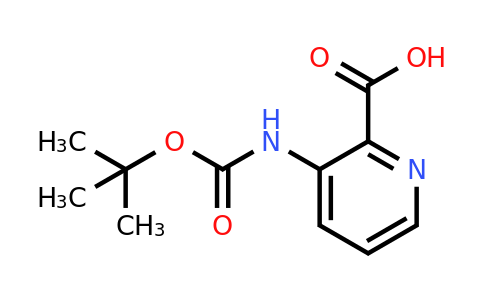 CAS 569687-82-7 | 3-tert-Butoxycarbonylamino-pyridine-2-carboxylic acid
