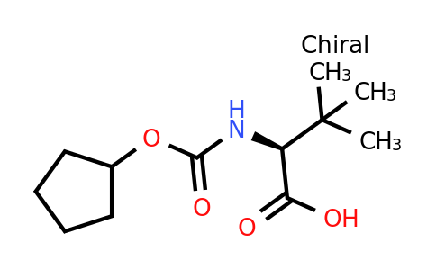 CAS 572924-00-6 | (S)-2-(((cyclopentyloxy)carbonyl)amino)-3,3-dimethylbutanoic acid