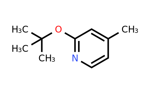 CAS 57883-15-5 | 2-(tert-Butoxy)-4-methylpyridine