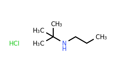 CAS 57885-83-3 | tert-Butyl(propyl)amine hydrochloride