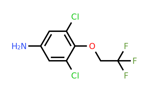 CAS 57946-62-0 | 3,5-dichloro-4-(2,2,2-trifluoroethoxy)aniline