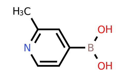 CAS 579476-63-4 | 2-Methylpyridine-4-boronic acid