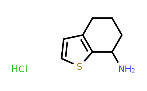 CAS 58095-12-8 | 4,5,6,7-tetrahydro-1-benzothiophen-7-amine hydrochloride