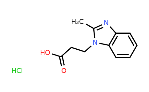 CAS 58555-22-9 | 3-(2-methyl-1H-1,3-benzodiazol-1-yl)propanoic acid hydrochloride