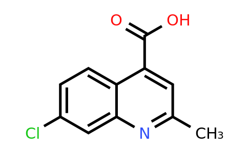 CAS 59666-15-8 | 7-Chloro-2-methylquinoline-4-carboxylic acid