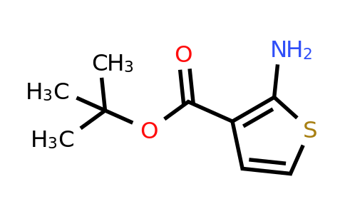 CAS 59739-05-8 | 2-Aminothiophene-3-carboxylic acid T-butyl ester