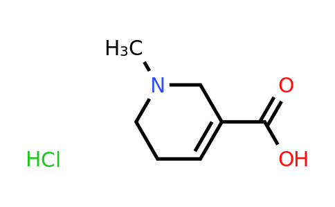 CAS 6018-28-6 | 1-Methyl-1,2,5,6-tetrahydropyridine-3-carboxylic acid hydrochloride