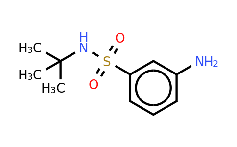 3-Amino-N-(tert-butyl)benzenesulfonamide
