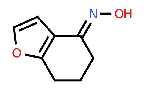 (E)-6,7-Dihydrobenzofuran-4(5H)-one oxime