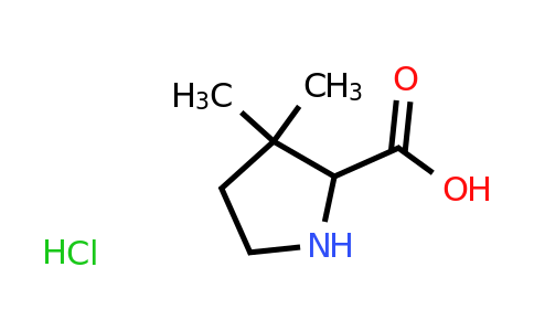 CAS 61406-78-8 | 3,3-dimethylpyrrolidine-2-carboxylic acid hydrochloride