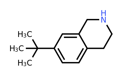 CAS 625128-59-8 | 7-tert-butyl-1,2,3,4-tetrahydroisoquinoline