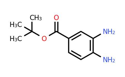 CAS 62754-26-1 | tert-Butyl 3,4-diaminobenzoate