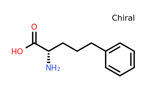 (S)-2-Amino-5-phenyl-pentanoic acid