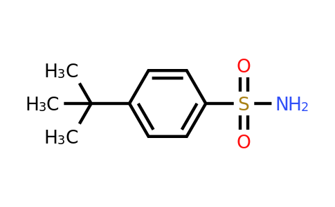 CAS 6292-59-7 | 4-tert-butylbenzene-1-sulfonamide
