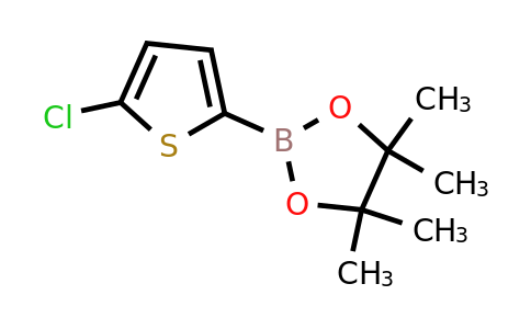 CAS 635305-24-7 | 5-Chlorothiophene-2-boronic acid pinacol ester