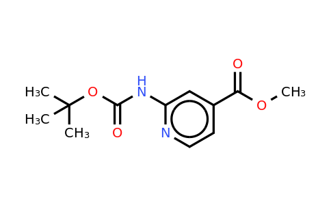 CAS 639091-75-1 | 2-Boc-amino-isonicotinic acid methyl ester