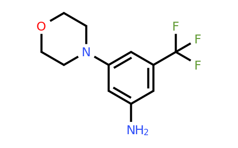 CAS 641571-02-0 | 3-morpholino-5-(trifluoromethyl)aniline
