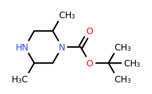 CAS 643041-20-7 | tert-butyl 2,5-dimethylpiperazine-1-carboxylate