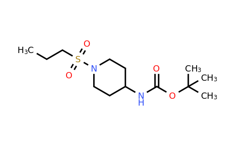 CAS 651056-54-1 | tert-butyl N-[1-(propane-1-sulfonyl)piperidin-4-yl]carbamate