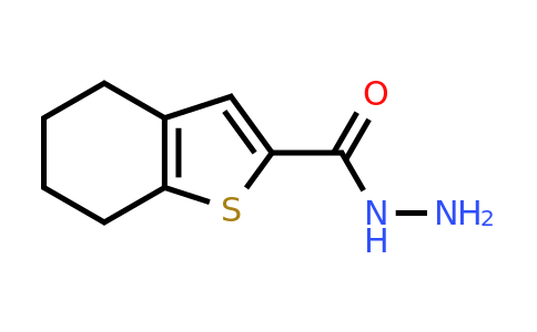 CAS 65361-27-5 | 4,5,6,7-tetrahydro-1-benzothiophene-2-carbohydrazide