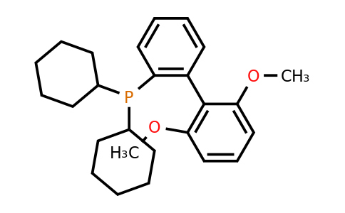 CAS 657408-07-6 | 2-Dicyclohexylphosphino-2',6'-dimethoxybiphenyl