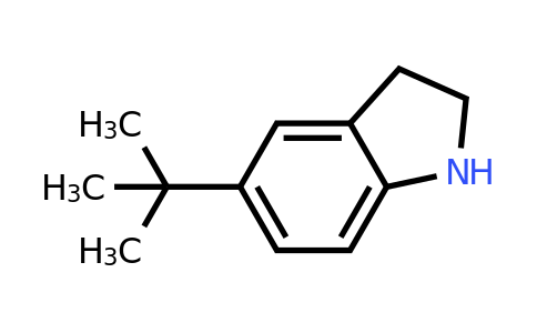 CAS 65826-97-3 | 5-tert-butyl-2,3-dihydro-1H-indole