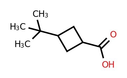 CAS 66016-27-1 | 3-tert-butylcyclobutane-1-carboxylic acid