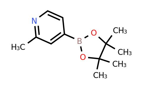 CAS 660867-80-1 | 2-Methylpyridine-4-boronic acid pinacol ester