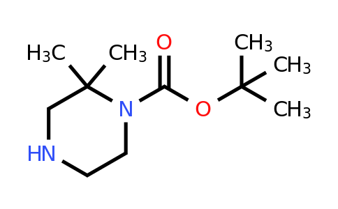 CAS 674792-07-5 | tert-butyl 2,2-dimethylpiperazine-1-carboxylate