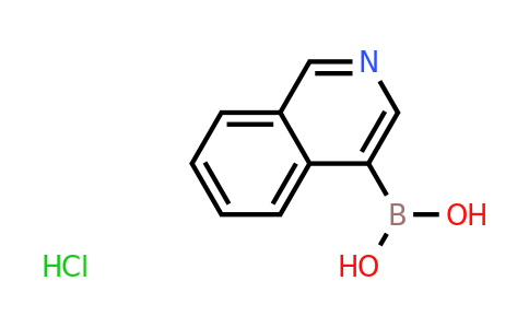 CAS 677702-23-7 | Isoquinolin-4-ylboronic acid hydrochloride