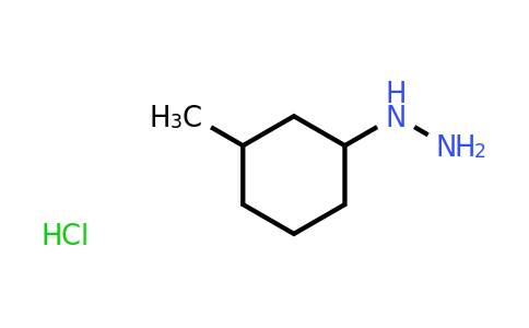 CAS 680186-97-4 | (3-methylcyclohexyl)hydrazine hydrochloride