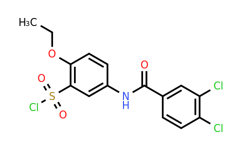 CAS 680617-90-7 | 5-(3,4-Dichloro-benzoylamino)-2-ethoxy-benzenesulfonyl chloride