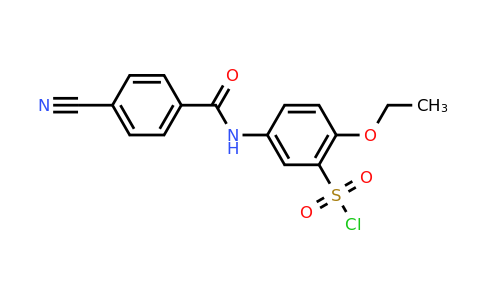 CAS 680618-02-4 | 5-(4-Cyano-benzoylamino)-2-ethoxy-benzenesulfonyl chloride
