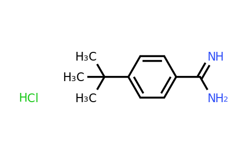 CAS 68284-01-5 | 4-Tert-butyl-benzamidine hydrochloride