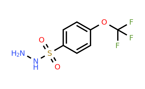 CAS 685542-10-3 | 4-(Trifluoromethoxy)benzene-1-sulfonohydrazide