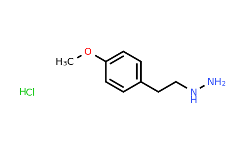 CAS 69717-81-3 | (4-Methoxyphenethyl)hydrazine hydrochloride