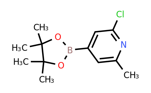 CAS 697739-22-3 | 2-Chloro-6-methylpyridine-4-boronic acid pinacol ester