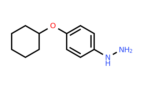 CAS 698972-10-0 | (4-Cyclohexyloxy-phenyl)-hydrazine