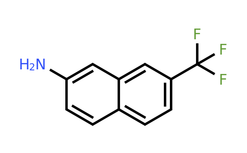 CAS 702640-81-1 | 7-(Trifluoromethyl)naphthalen-2-amine