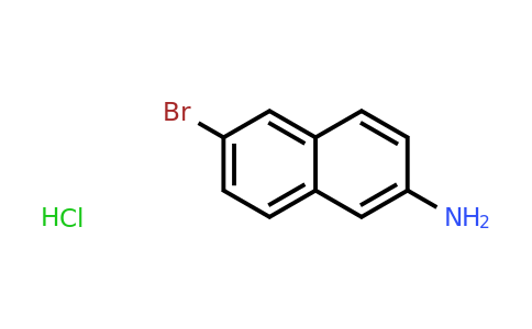 CAS 71590-31-3 | 6-Bromonaphthalen-2-amine hydrochloride