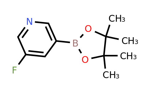 CAS 719268-92-5 | 3-Fluoropyridine-5-boronic acid pinacol ester