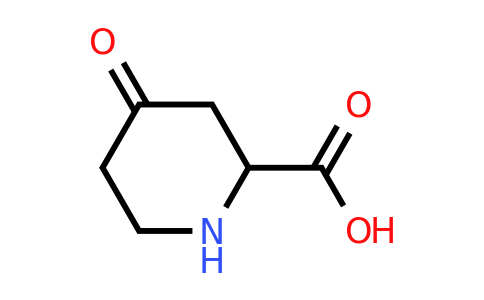 CAS 7295-68-3 | 4-oxopiperidine-2-carboxylic acid