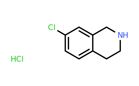 CAS 73075-45-3 | 7-chloro-1,2,3,4-tetrahydroisoquinoline hydrochloride