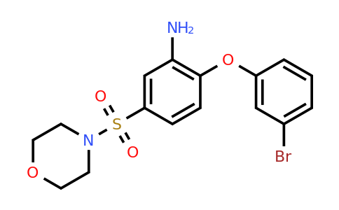 CAS 735322-77-7 | 2-(3-bromophenoxy)-5-(morpholine-4-sulfonyl)aniline