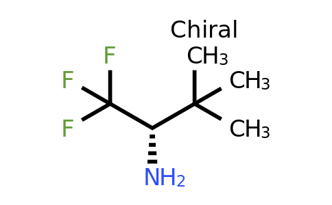 CAS 736127-08-5 | (S)-2,2-Dimethyl-1-trifluoromethyl-propylamine