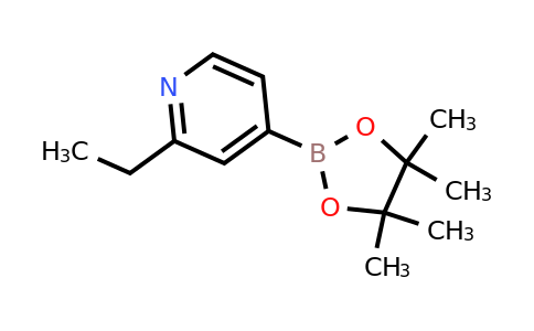 CAS 741709-60-4 | 2-Ethylpyridine-4-boronic acid pinacol ester