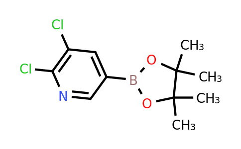 CAS 741709-64-8 | 5,6-Dichloropyridine-3-boronic acid pinacol ester