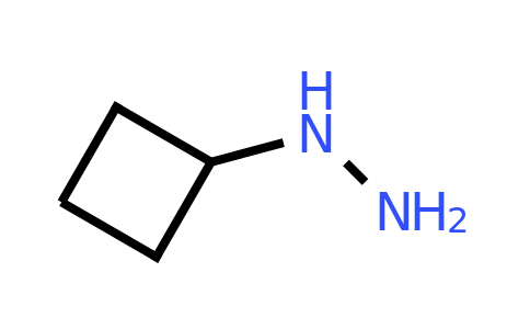 CAS 742673-64-9 | cyclobutylhydrazine
