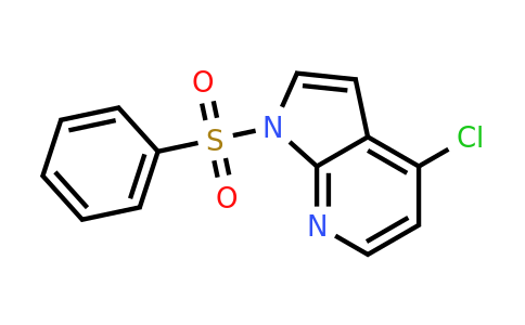 CAS 744209-63-0 | 1-(benzenesulfonyl)-4-chloro-1H-pyrrolo[2,3-b]pyridine