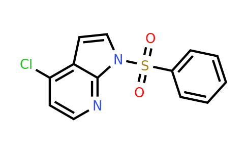 CAS 744209-64-1 | 4-Chloro-1-(phenylsulfonyl)-1H-pyrrolo[2,3-B]pyridine